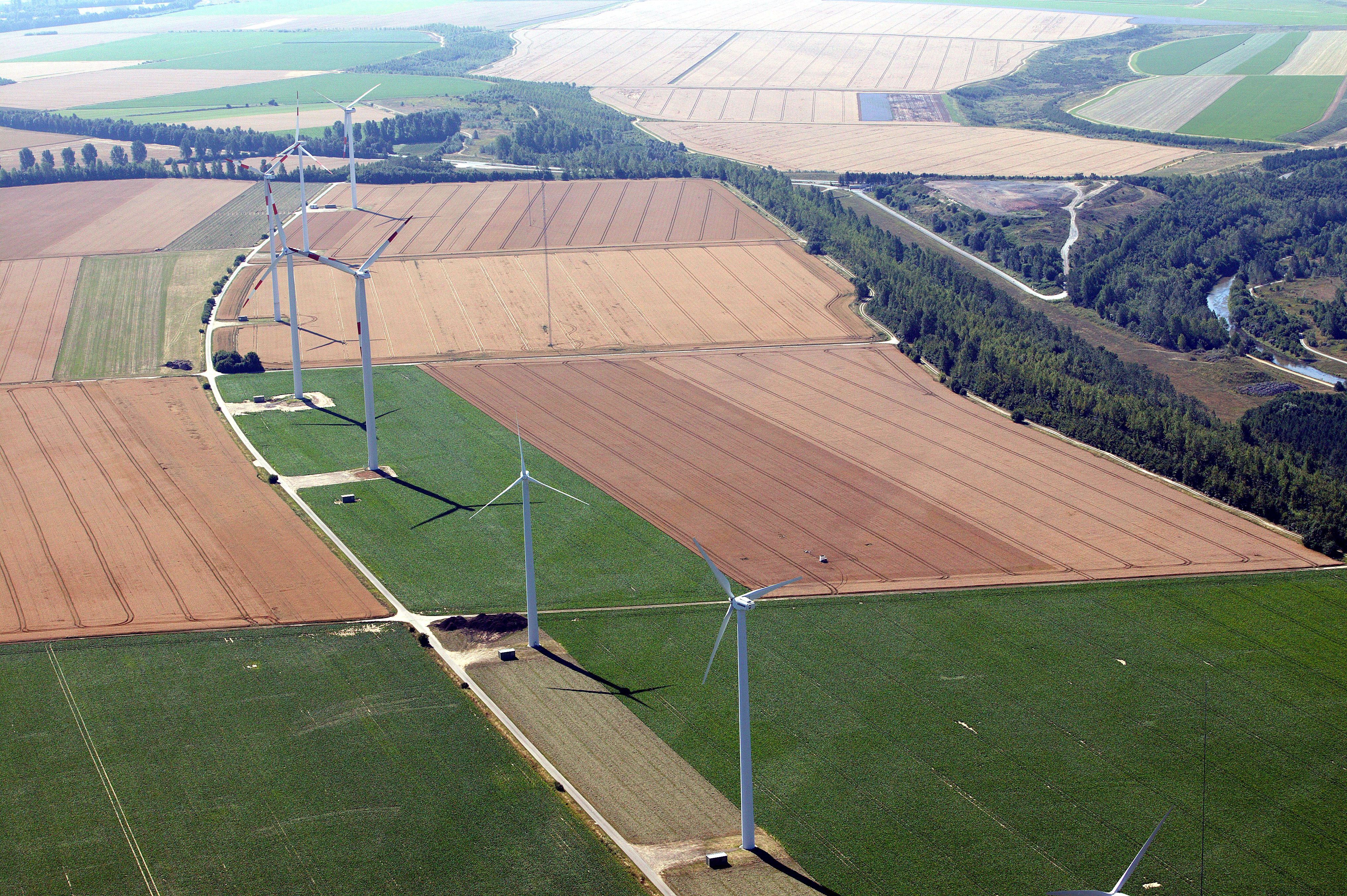 Wissen, wie der Wind weht!